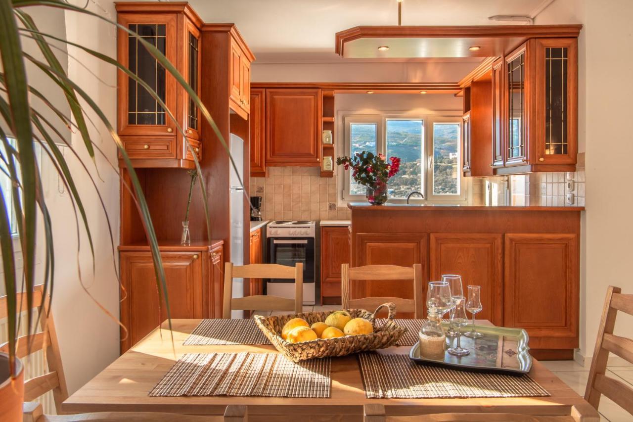 Eleni'S Seaview House Apartment อานดรอส ภายนอก รูปภาพ